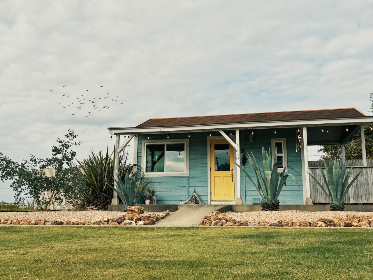 外観:庭のアガベと緑に囲まれたエントランス